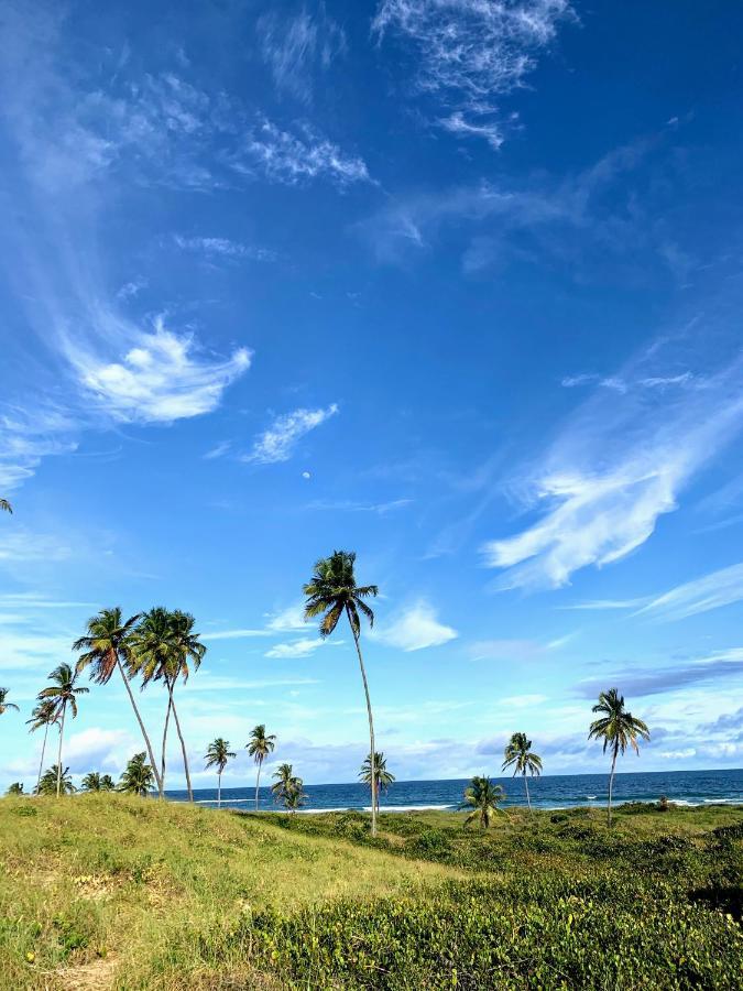 Hostel Ave Rara Praia do Frances Exterior photo
